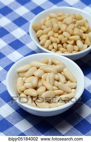 Cedar and pine nuts View Large Photo Image Stock Image - Cedar and pine nuts. Fotosearch