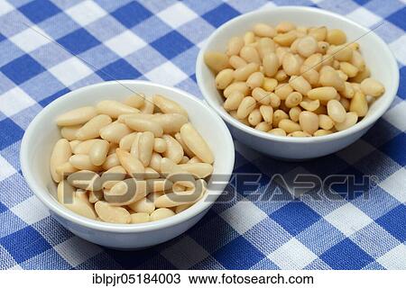 Cedar and pine nuts View Large Photo Image Stock Image - Cedar and pine nuts. Fotosearch