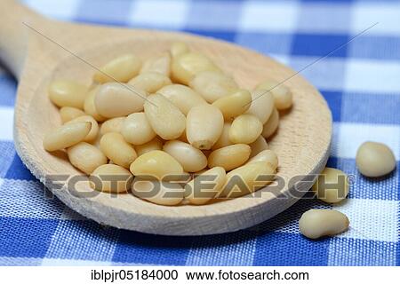 Cedar seeds with cooking spoon View Large Photo Image Stock Image - Cedar seeds with cooking spoon. Fotosearch