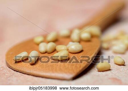 Cedar seeds with cooking spoon View Large Photo Image Stock Photo - Cedar seeds with cooking spoon. Fotosearch