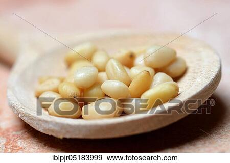 Stock Photo - Cedar seeds with cooking spoon. Fotosearch