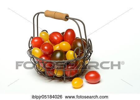 Stock Photograph - Cherry-tomatoes (Solanum lycopersicum). Fotosearch