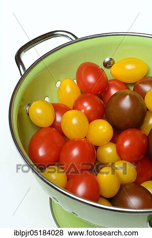 CherryTomato (Solanum lycopersicum), date cherry, cherry, cherry, cherry, cherry, colander, colander View Large Photo Image Stock Photo - CherryTomato (Solanum lycopersicum), date cherry, cherry, cherry, cherry, cherry, colander, colander. Fotosearch