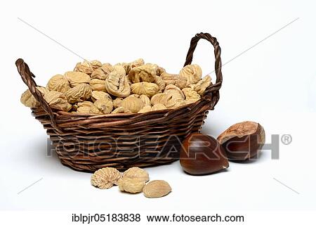 Chestnut... in baskets, chestnuts (Castanea sativa), Dried fruit, chestnut, chestnuts, chestnuts, chestnuts View Large Photo Image Stock Photo - Chestnut... in baskets, chestnuts (Castanea sativa), Dried fruit, chestnut, chestnuts, chestnuts, chestnuts. Fotosearch