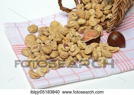 ChestnutDoerrkastanien (Castanea sativa), Dried fruit, chestnut, chestnuts, chestnuts, chestnuts View Large Photo Image Stock Image - ChestnutDoerrkastanien (Castanea sativa), Dried fruit, chestnut, chestnuts, chestnuts, chestnuts. Fotosearch