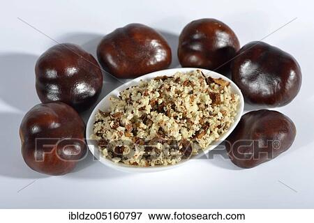 Chestnuts, ground seeds (Aesculus hippocastanum) View Large Photo Image Stock Photo - Chestnuts, ground seeds (Aesculus hippocastanum). Fotosearch
