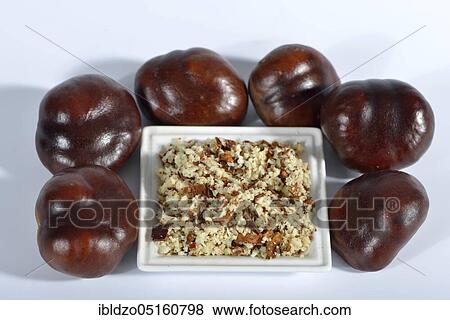 Stock Photo - Chestnuts, ground seeds (Aesculus hippocastanum). Fotosearch