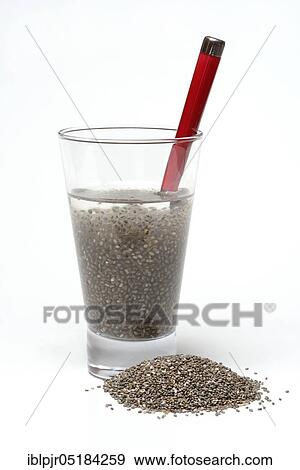 Chia (Salvia hispanica), swollen, in glass with water View Large Photo Image Stock Photo - Chia (Salvia hispanica), swollen, in glass with water. Fotosearch