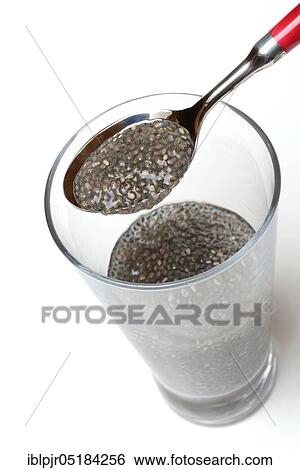 Chia (Salvia hispanica), swollen, in glass with water View Large Photo Image Stock Photograph - Chia (Salvia hispanica), swollen, in glass with water. Fotosearch