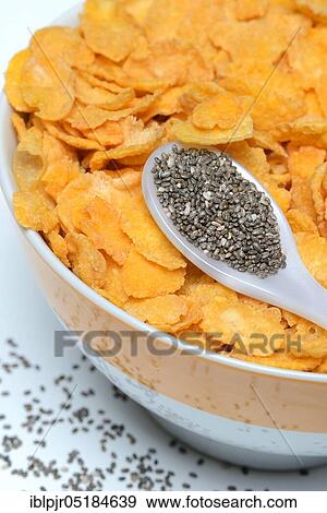 Chia seeds ( Salvia hispanica) in spoon and bowl with cornflakes View Large Photo Image Stock Photo - Chia seeds ( Salvia hispanica) in spoon and bowl with cornflakes. Fotosearch