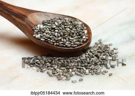 Chia seeds ( Salvia hispanica) on wooden spoon View Large Photo Image Picture - Chia seeds ( Salvia hispanica) on wooden spoon. Fotosearch