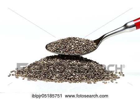 Chia seeds ( Salvia hispanica) on spoon View Large Photo Image Stock Image - Chia seeds ( Salvia hispanica) on spoon. Fotosearch