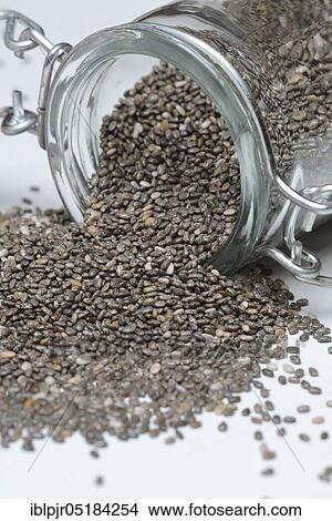 Picture - Chia seeds ( Salvia hispanica). Fotosearch