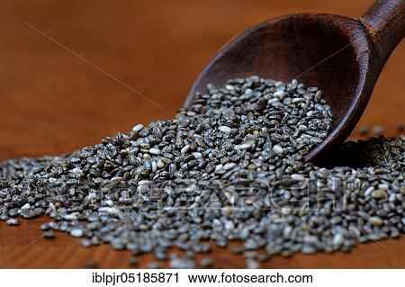 Chia seeds, Salvia hispanica ( Salvia hispanica) View Large Photo Image Stock Image - Chia seeds, Salvia hispanica ( Salvia hispanica). Fotosearch