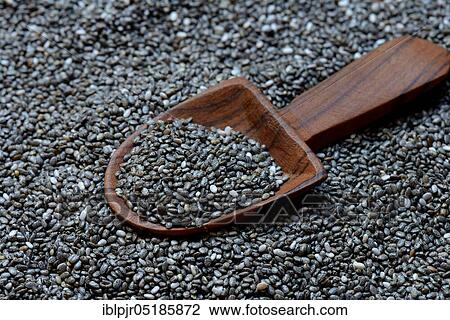 Stock Image - Chia seeds, Salvia hispanica ( Salvia hispanica). Fotosearch