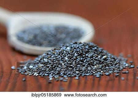 Chia seeds, Salvia hispanica ( Salvia hispanica) View Large Photo Image Stock Photo - Chia seeds, Salvia hispanica ( Salvia hispanica). Fotosearch