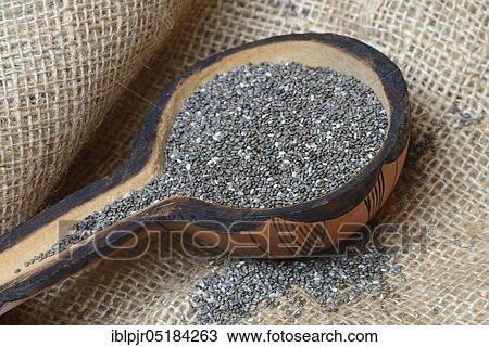 Chia seeds ( Salvia hispanica) View Large Photo Image Stock Image - Chia seeds ( Salvia hispanica). Fotosearch