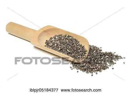 Chia seeds ( Salvia hispanica) View Large Photo Image Stock Photo - Chia seeds ( Salvia hispanica). Fotosearch
