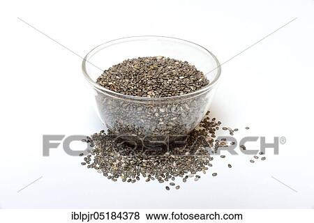 Stock Photo - Chia seeds ( Salvia hispanica). Fotosearch