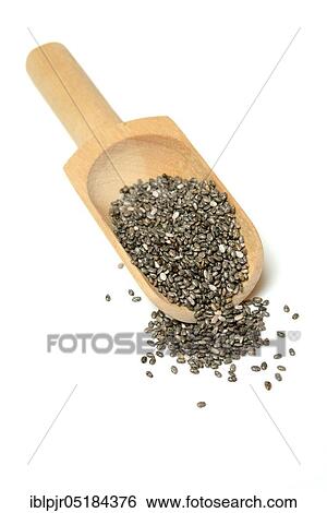 Chia seeds ( Salvia hispanica) View Large Photo Image Stock Photograph - Chia seeds ( Salvia hispanica). Fotosearch