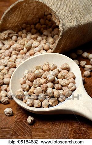 Chickpeas ( Cicer arietinum) in wooden trowel View Large Photo Image Stock Image - Chickpeas ( Cicer arietinum) in wooden trowel. Fotosearch