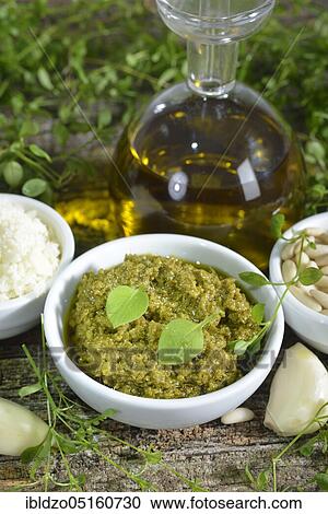 Chickweed pesto (Stellaria media) View Large Photo Image Stock Image - Chickweed pesto (Stellaria media). Fotosearch
