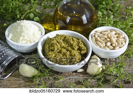 Stock Photo - Chickweed pesto (Stellaria media). Fotosearch