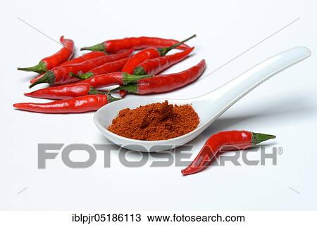 Chili powder in porcelain spoon ( Capsicum annuum) View Large Photo Image Stock Image - Chili powder in porcelain spoon ( Capsicum annuum). Fotosearch