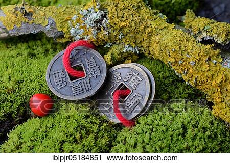 Chinese lucky coins in moss and twig with lichen View Large Photo Image Stock Image - Chinese lucky coins in moss and twig with lichen. Fotosearch