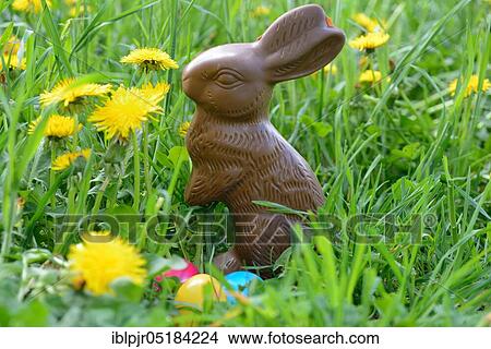 Chocolate Easter bunny and Easter eggs, chocolate, chocolate bunny, chocolate bunnies View Large Photo Image Picture - Chocolate Easter bunny and Easter eggs, chocolate, chocolate bunny, chocolate bunnies. Fotosearch