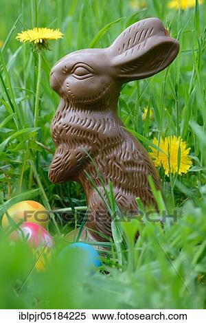 Stock Photography - Chocolate Easter bunny and Easter eggs, chocolate, chocolate bunny, chocolate bunnies. Fotosearch