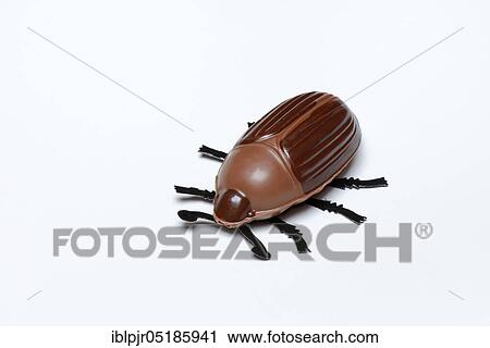 Chocolate ladybirds, chocolate ladybirds, lucky ladybirds View Large Photo Image Stock Image - Chocolate ladybirds, chocolate ladybirds, lucky ladybirds. Fotosearch