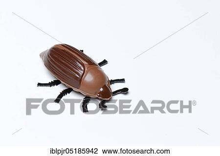 Chocolate ladybirds, chocolate ladybirds, lucky ladybirds View Large Photo Image Stock Image - Chocolate ladybirds, chocolate ladybirds, lucky ladybirds. Fotosearch