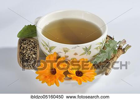 Cholesterol regulating tea, dandelion leaves (Taraxacum officinale) (dandelion root), marigold (Calendula officinalis), soap root (Saponaria officinalis), milk thistle fruit (Silybum marianum) artichoke leaves (Cynara scolymus) View Large Photo Image Stock Image - Cholesterol regulating tea, dandelion leaves (Taraxacum officinale) (dandelion root), marigold (Calendula officinalis), soap root (Saponaria officinalis), milk thistle fruit (Silybum marianum) artichoke leaves (Cynara scolymus). Fotosearch