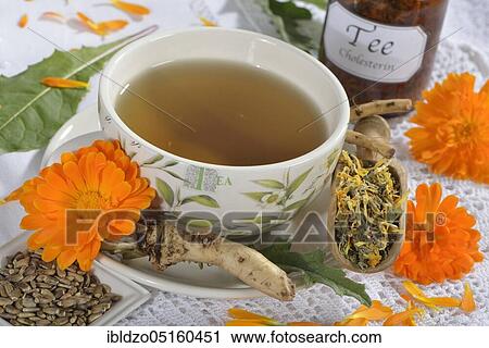 Cholesterol regulating tea, dandelion leaves (Taraxacum officinale) (dandelion root), marigold (Calendula officinalis), soap root (Saponaria officinalis), milk thistle fruit (Silybum marianum) artichoke leaves (Cynara scolymus) View Large Photo Image Stock Image - Cholesterol regulating tea, dandelion leaves (Taraxacum officinale) (dandelion root), marigold (Calendula officinalis), soap root (Saponaria officinalis), milk thistle fruit (Silybum marianum) artichoke leaves (Cynara scolymus). Fotosearch