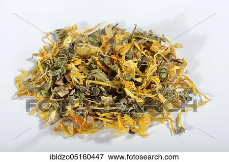 Cholesterol regulating tea (Dandelion root) (Taraxacum officinale) Dandelion leaves, marigold (Calendula officinalis), soap root (Saponaria officinalis), milk thistle fruit (Silybum marianum), artichoke leaves (Cynara scolymus), li View Large Photo Image Stock Photo - Cholesterol regulating tea (Dandelion root) (Taraxacum officinale) Dandelion leaves, marigold (Calendula officinalis), soap root (Saponaria officinalis), milk thistle fruit (Silybum marianum), artichoke leaves (Cynara scolymus), li. Fotosearch