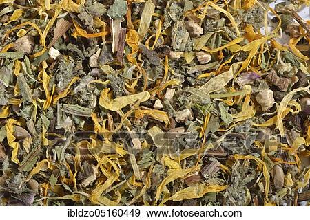 Cholesterol regulating tea, dandelion leaves (Taraxacum officinale) (dandelion root), marigold (Calendula officinalis), soap root (Saponaria officinalis), milk thistle fruit (Silybum marianum) artichoke leaves (Cynara scolymus) View Large Photo Image Stock Photo - Cholesterol regulating tea, dandelion leaves (Taraxacum officinale) (dandelion root), marigold (Calendula officinalis), soap root (Saponaria officinalis), milk thistle fruit (Silybum marianum) artichoke leaves (Cynara scolymus). Fotosearch