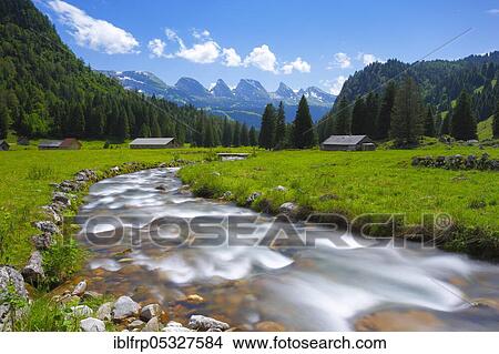 Picture - Churfirsten, Alp Laui, Toggenburg, Switzerland, Europe. Fotosearch