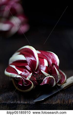 ( Cichorium intybus var. foliosum) Radicchio and kitchen knife, Radicchio Rosso di Treviso, red Chicory View Large Photo Image Stock Image - ( Cichorium intybus var. foliosum) Radicchio and kitchen knife, Radicchio Rosso di Treviso, red Chicory. Fotosearch