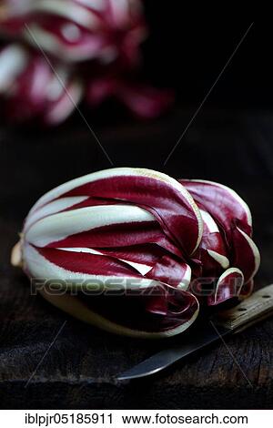Stock Image - ( Cichorium intybus var. foliosum) Radicchio and kitchen knife, Radicchio Rosso di Treviso, red Chicory. Fotosearch