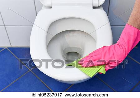 Cleaning, bathroom, toilet seat View Large Photo Image Stock Photo - Cleaning, bathroom, toilet seat. Fotosearch