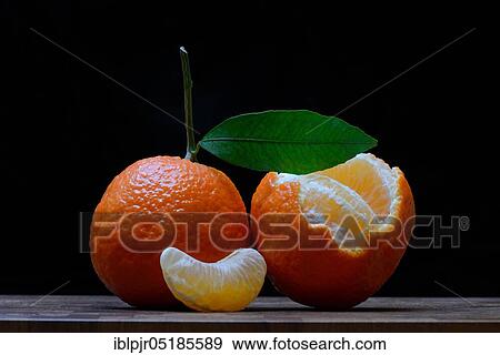 Clementines, citrus fruits x aurantium View Large Photo Image Stock Photo - Clementines, citrus fruits x aurantium. Fotosearch