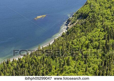 Coast, view from Mount Saint Alban, Forillon National Park, Quebec, Canada, North America View Large Photo Image Stock Photo - Coast, view from Mount Saint Alban, Forillon National Park, Quebec, Canada, North America. Fotosearch