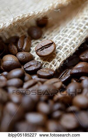 Stock Photo - ( Coffea arabica) roasted coffee beans. Fotosearch