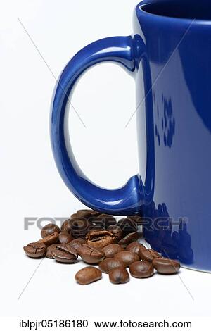 Coffee beans and cup ( Coffea arabica) View Large Photo Image Stock Image - Coffee beans and cup ( Coffea arabica). Fotosearch