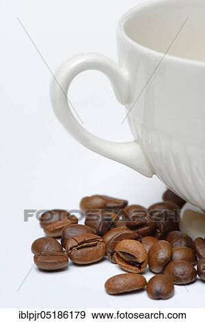 Coffee beans and cup ( Coffea arabica) View Large Photo Image Stock Photo - Coffee beans and cup ( Coffea arabica). Fotosearch