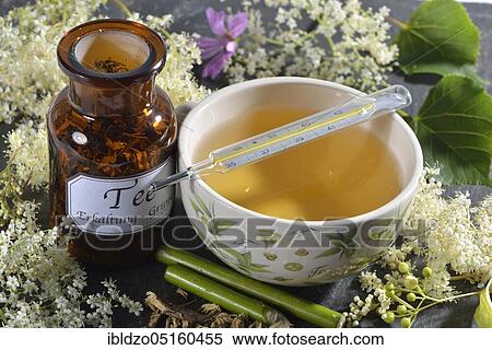 Cold and flu tea, lime blossom, elderflower (Sambucus nigra) meadowsweet, meadowsweet, liquorice root (Glycyrrhiza glabra), liquorice, mallow blossom (Tilia cordata) (Tilia grandifolia) (Salix species) (Malva sylvestris), lime tree View Large Photo Image Stock Photography - Cold and flu tea, lime blossom, elderflower (Sambucus nigra) meadowsweet, meadowsweet, liquorice root (Glycyrrhiza glabra), liquorice, mallow blossom (Tilia cordata) (Tilia grandifolia) (Salix species) (Malva sylvestris), lime tree. Fotosearch