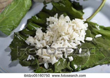 Coltsfoot-Dolmades (Tussilago farfara), stuffed sheets View Large Photo Image Stock Image - Coltsfoot-Dolmades (Tussilago farfara), stuffed sheets. Fotosearch