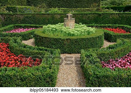 Common boxhedge, buxus, hedge, topiary, horticulture, begonias and stonecrop, Hailsham Grange Garden, Hailsham, East Sussex, England, Great Britain View Large Photo Image Stock Image - Common boxhedge, buxus, hedge, topiary, horticulture, begonias and stonecrop, Hailsham Grange Garden, Hailsham, East Sussex, England, Great Britain. Fotosearch