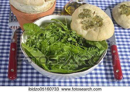 Common chickweed (Stellaria media) in wild herb salad with green bread, wild herb salad View Large Photo Image Stock Image - Common chickweed (Stellaria media) in wild herb salad with green bread, wild herb salad. Fotosearch